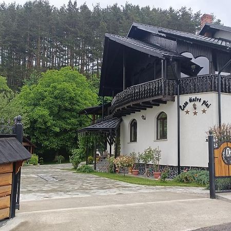 Willa Casa Dintre Pini Păltinoasa Zewnętrze zdjęcie