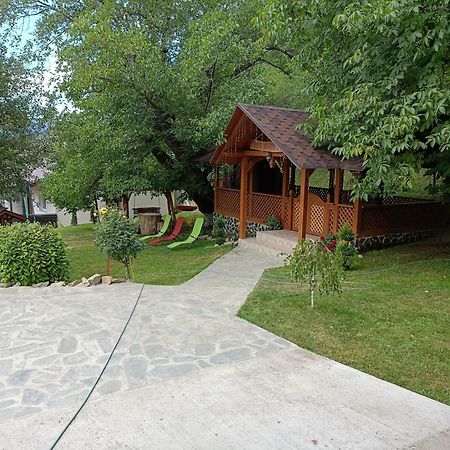 Willa Casa Dintre Pini Păltinoasa Zewnętrze zdjęcie