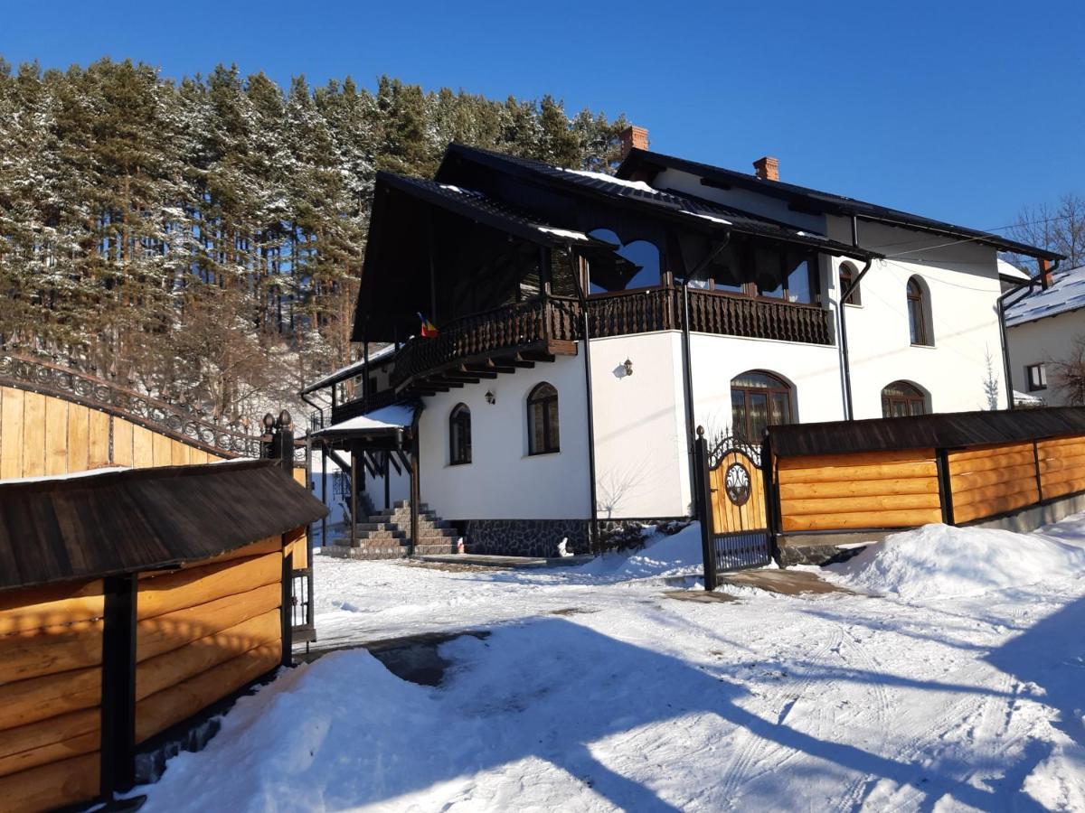 Willa Casa Dintre Pini Păltinoasa Zewnętrze zdjęcie