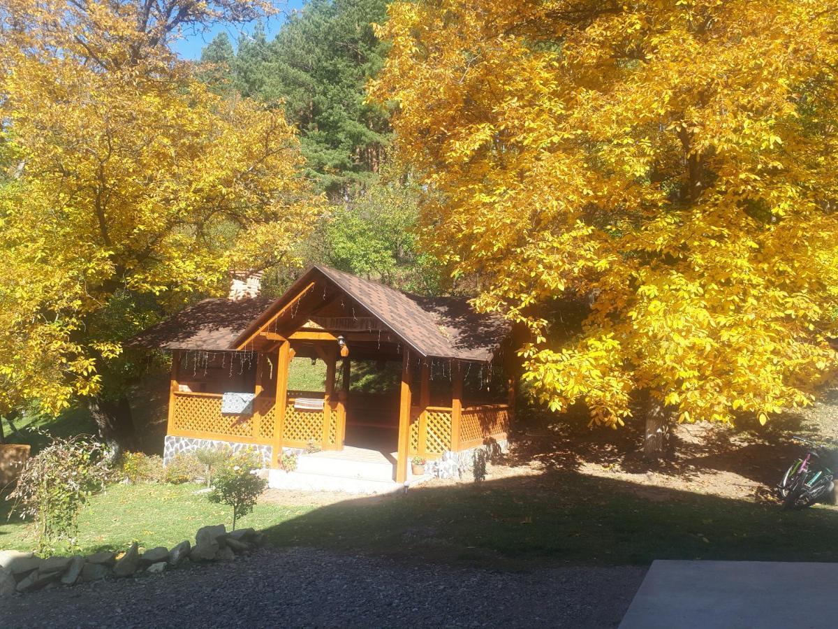 Willa Casa Dintre Pini Păltinoasa Zewnętrze zdjęcie