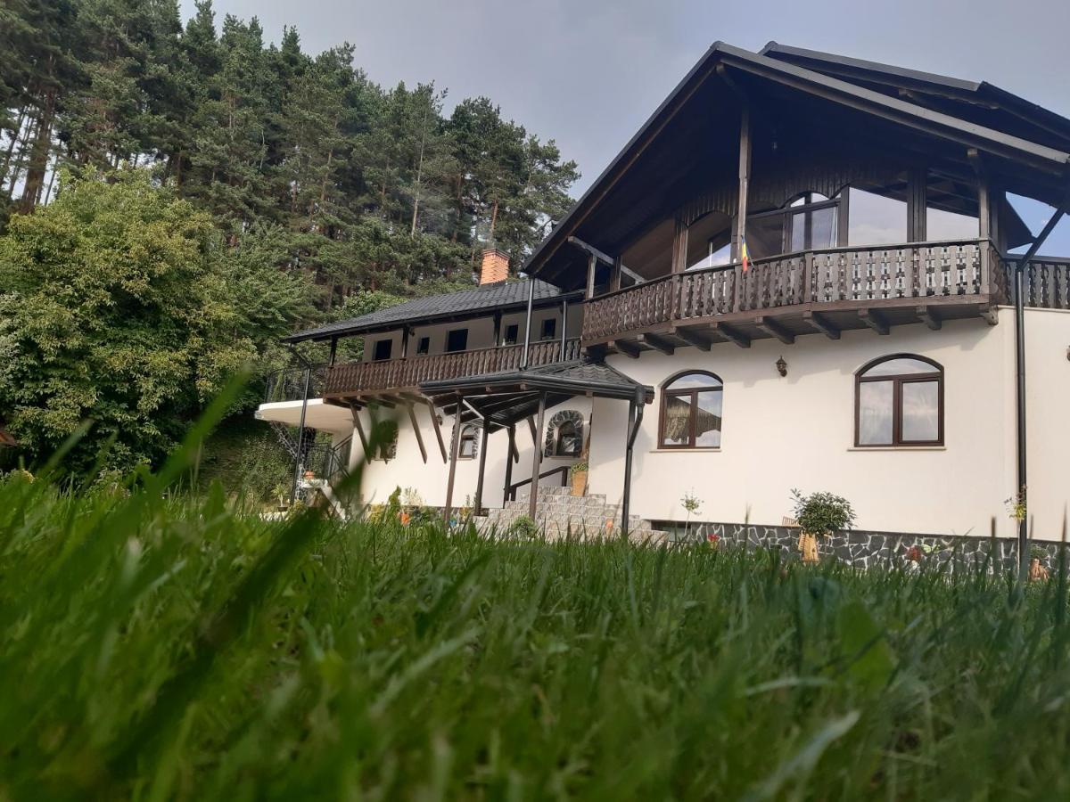 Willa Casa Dintre Pini Păltinoasa Zewnętrze zdjęcie