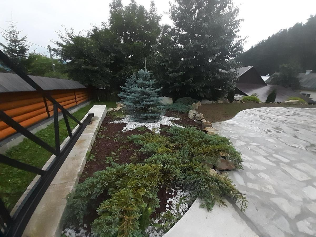 Willa Casa Dintre Pini Păltinoasa Zewnętrze zdjęcie