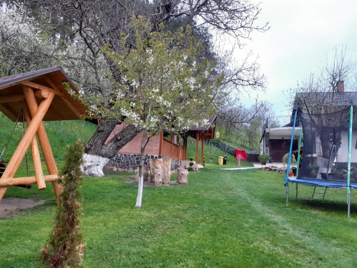 Willa Casa Dintre Pini Păltinoasa Zewnętrze zdjęcie