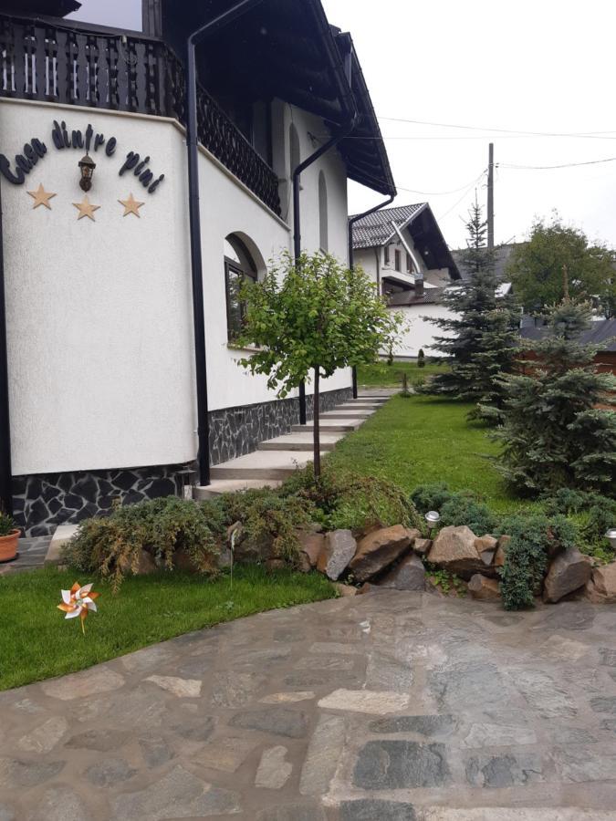 Willa Casa Dintre Pini Păltinoasa Zewnętrze zdjęcie