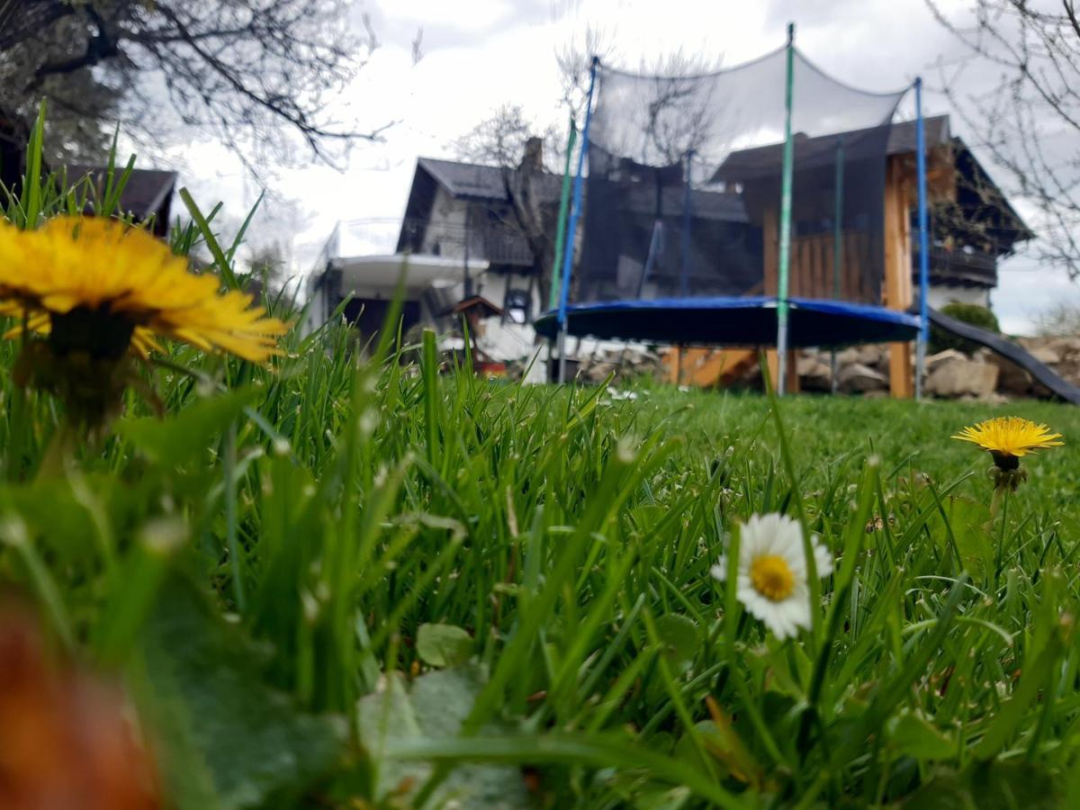 Willa Casa Dintre Pini Păltinoasa Zewnętrze zdjęcie