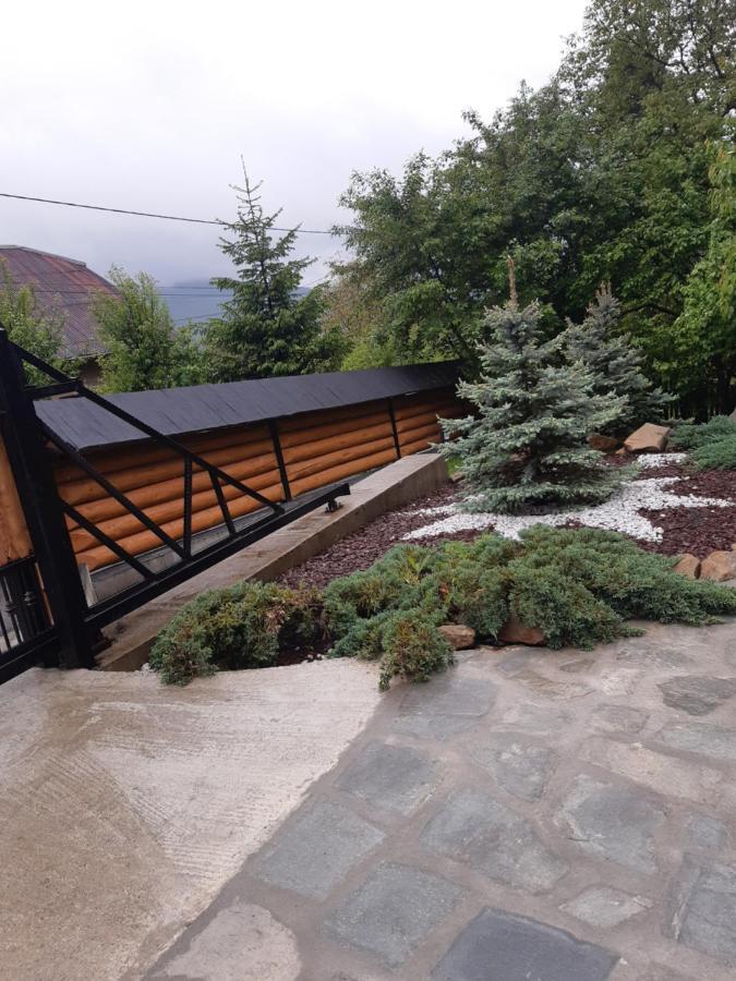 Willa Casa Dintre Pini Păltinoasa Zewnętrze zdjęcie