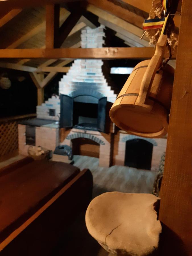 Willa Casa Dintre Pini Păltinoasa Zewnętrze zdjęcie