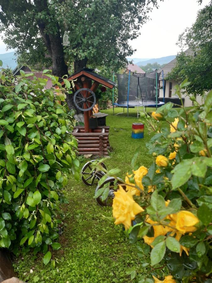 Willa Casa Dintre Pini Păltinoasa Zewnętrze zdjęcie