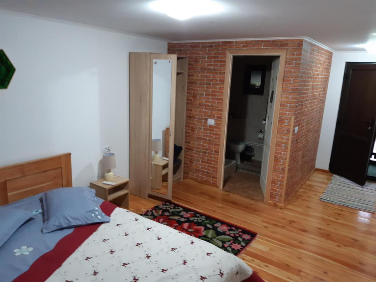 Willa Casa Dintre Pini Păltinoasa Zewnętrze zdjęcie