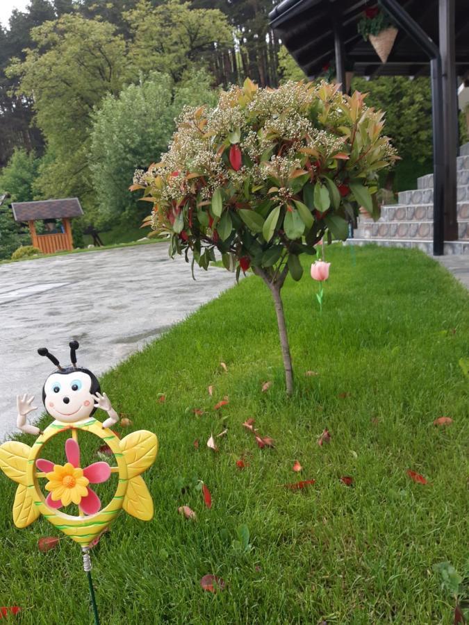 Willa Casa Dintre Pini Păltinoasa Zewnętrze zdjęcie