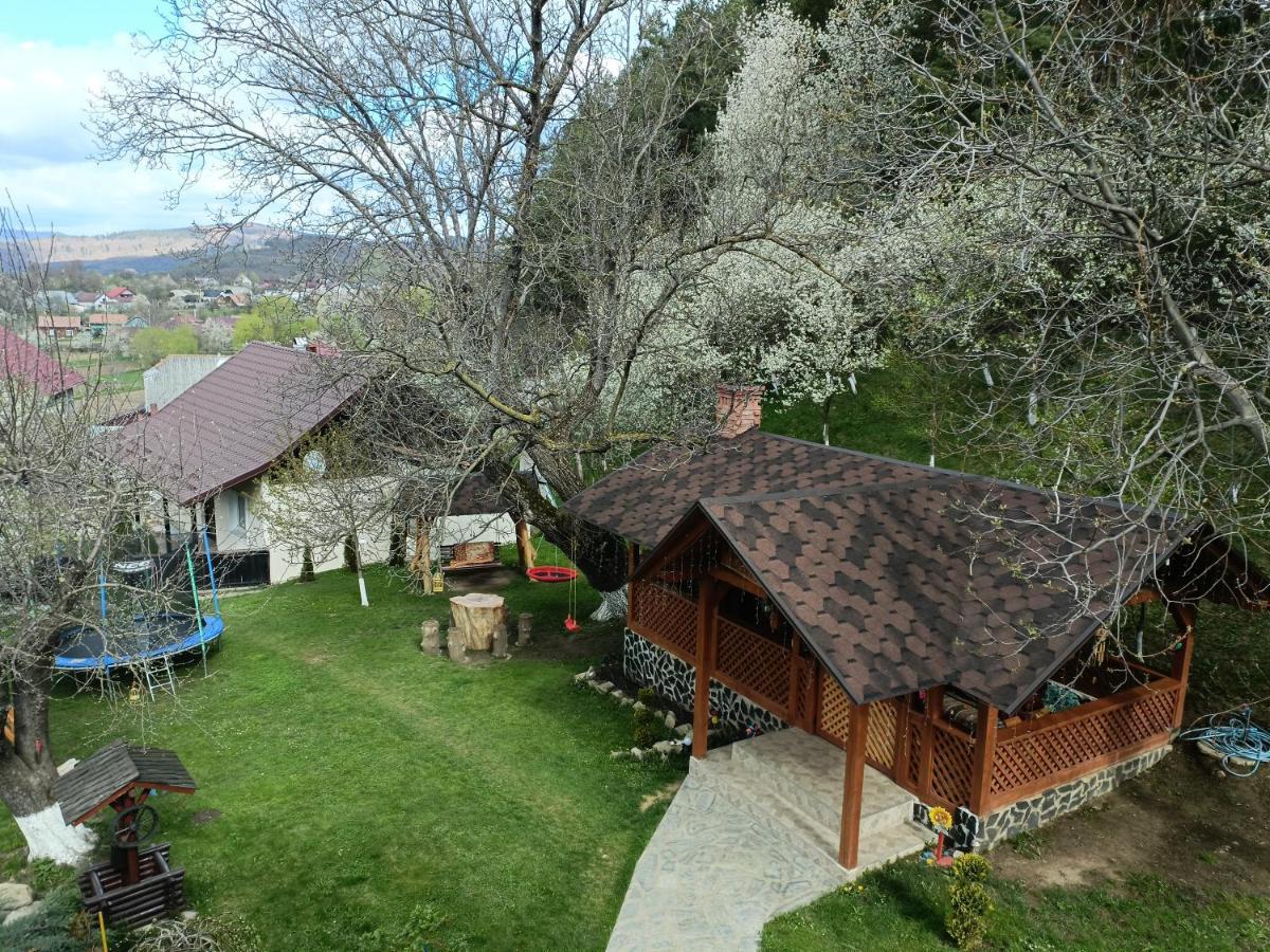 Willa Casa Dintre Pini Păltinoasa Zewnętrze zdjęcie