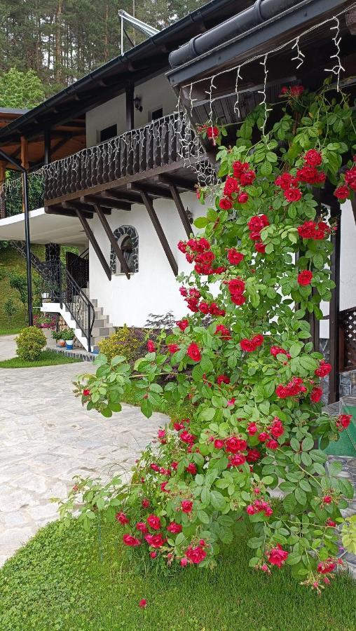 Willa Casa Dintre Pini Păltinoasa Zewnętrze zdjęcie