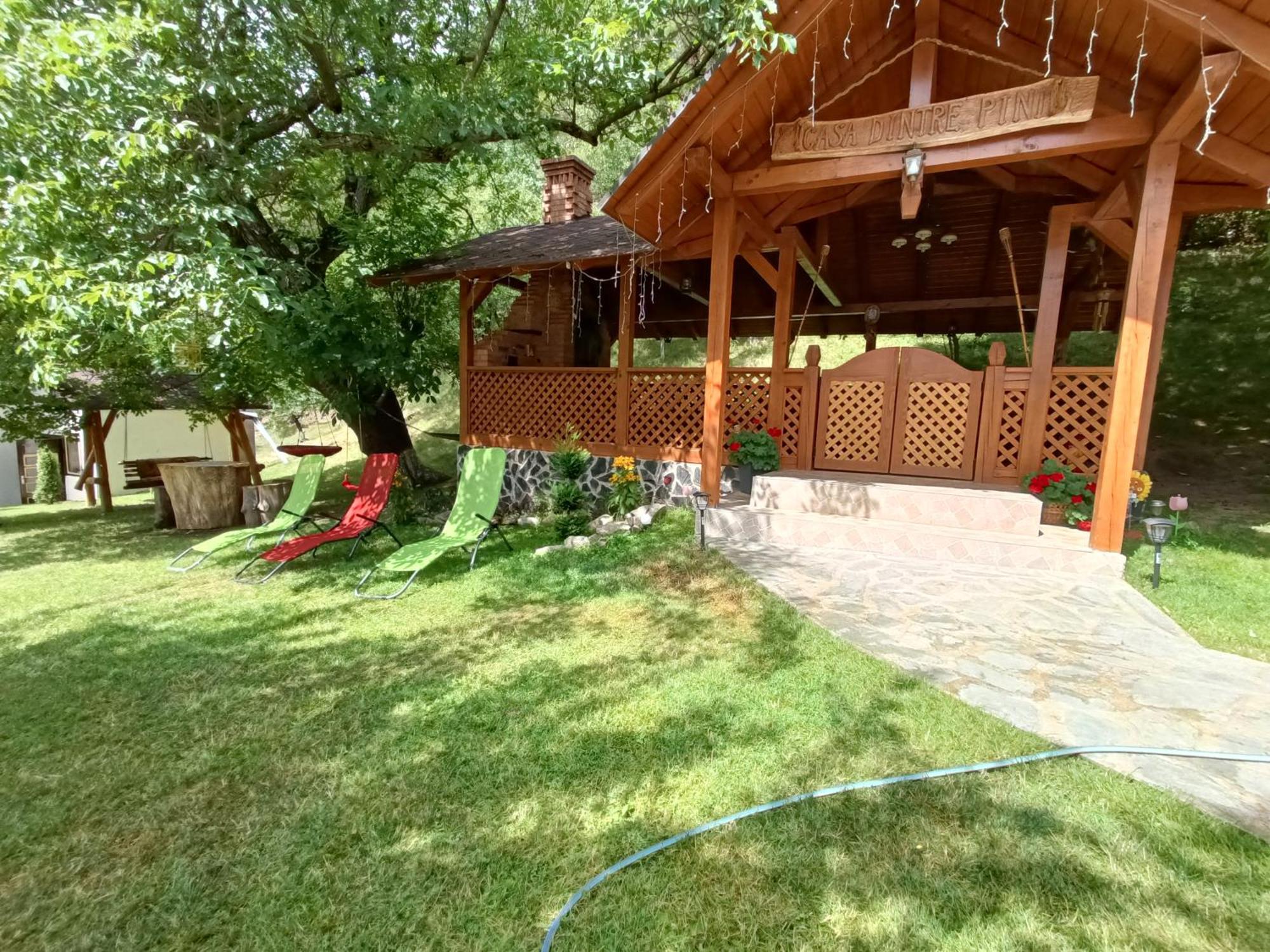 Willa Casa Dintre Pini Păltinoasa Zewnętrze zdjęcie